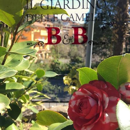 B&B Il Giardino Delle Camelie Palestrina Exteriér fotografie