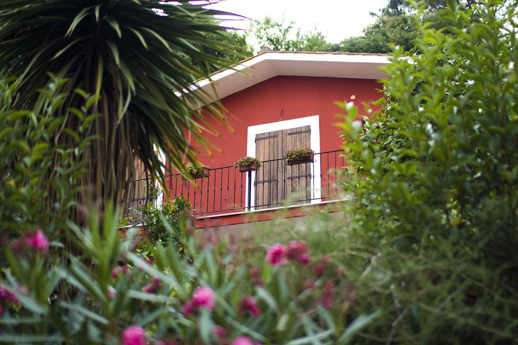 B&B Il Giardino Delle Camelie Palestrina Exteriér fotografie