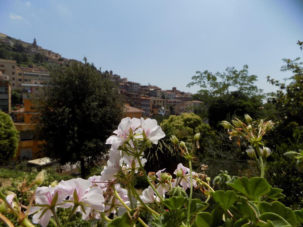 B&B Il Giardino Delle Camelie Palestrina Exteriér fotografie