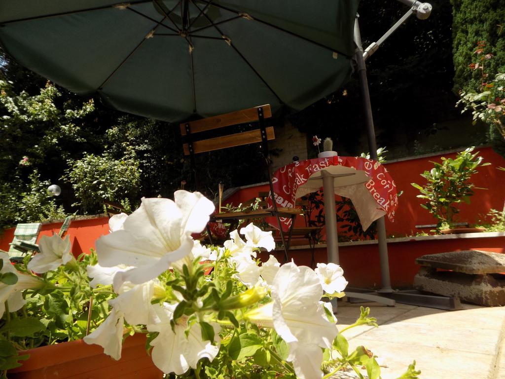 B&B Il Giardino Delle Camelie Palestrina Exteriér fotografie
