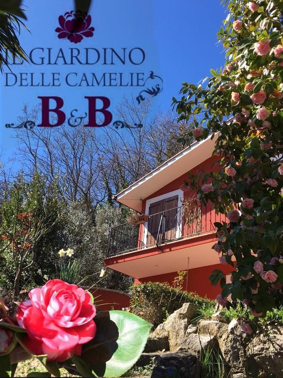 B&B Il Giardino Delle Camelie Palestrina Exteriér fotografie