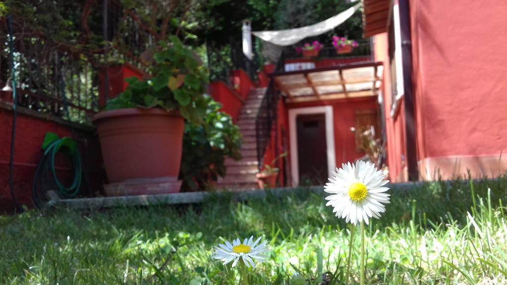 B&B Il Giardino Delle Camelie Palestrina Exteriér fotografie