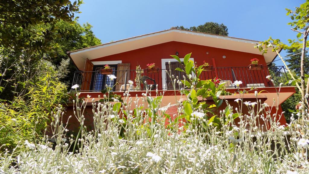 B&B Il Giardino Delle Camelie Palestrina Exteriér fotografie