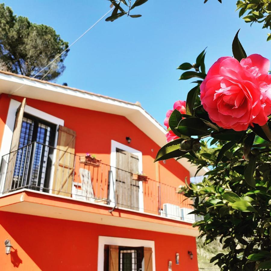 B&B Il Giardino Delle Camelie Palestrina Exteriér fotografie